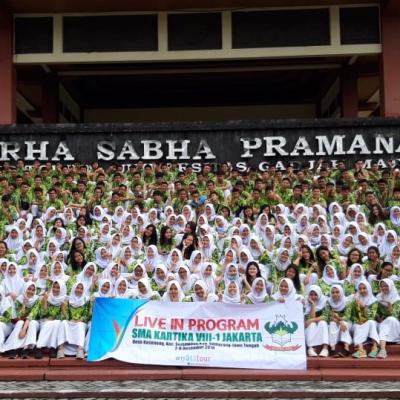 Std Tr Skl 46